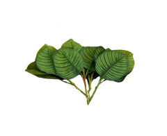 Calathea Rotundifolia (Artificial/Faux)