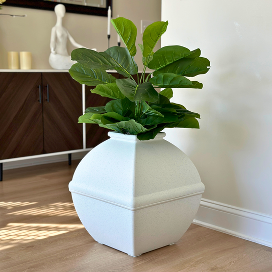 Fiddle-Leaf Fig (Artificial/Faux)