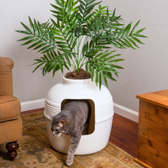 Original Litter Box White Birch